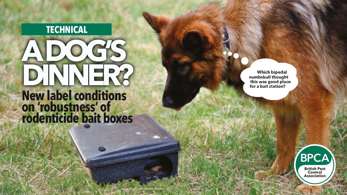 adogsdinnerrodenticide adogsdinnerrodenticide